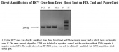 Direct One-Step FTA RT-PCR Kit