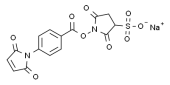 44-(2,5-Dihydro-2,5-dioxo-1H-pyrrol-1-yl)-benzoic acid 2,5-dioxo-3-sulfo-1-pyrrolidinyl ester sodium salt