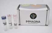 RiboMINATI for LC-MS sample prep kit#