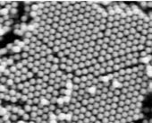 Carboxyl functional TiO2 microspheres 3.0µm