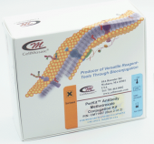 抗体甲氨蝶呤偶联试剂盒