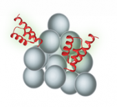 蛋白肽-SepSphere™ 琼脂糖微球偶联试剂盒（通过羧基）