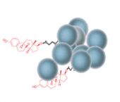 小分子-SepSphere™ 琼脂糖微球偶联试剂盒（通过氨基）
