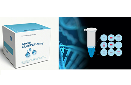 数字PCR