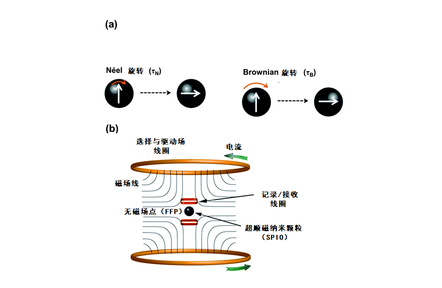 磁粒子成像