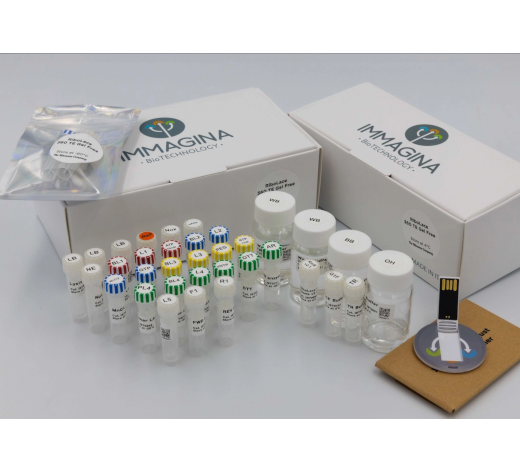 RiboLace 360 TE Gel Free