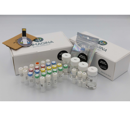 RiboLace 360 Gel Free