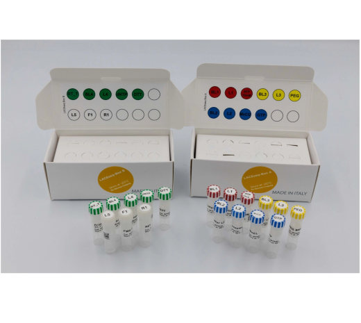 LACEseq