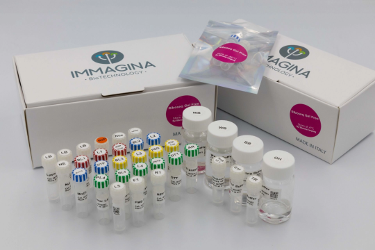 ALL-IN-ONE RiboLace Gel Free