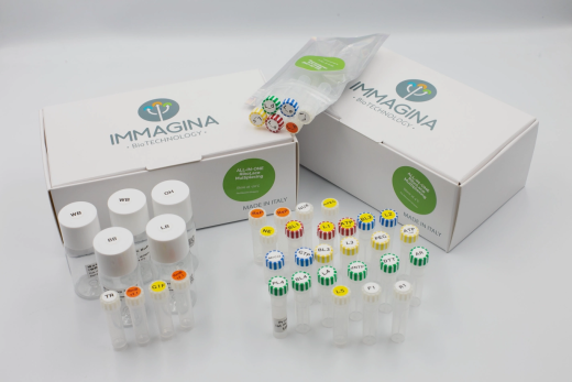 All-IN-ONE RiboLace Gel Free multiplex