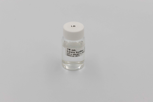Lysis Buffer
