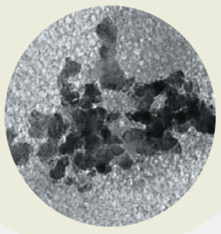 nanomag®-D PEG 300 500nm