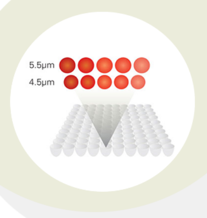 QuantumPlex M SP - Single Population Streptavidin 6μm Magnetic