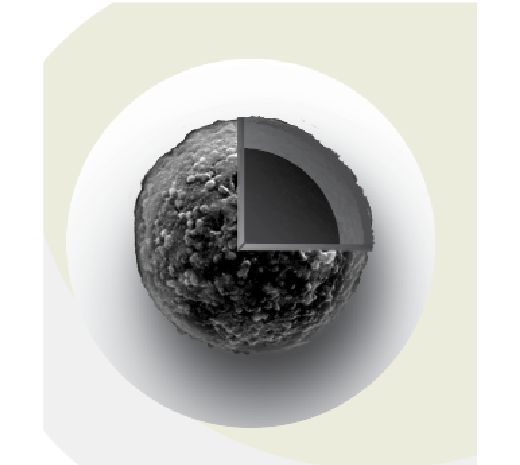 Magnefy Concanavalin A