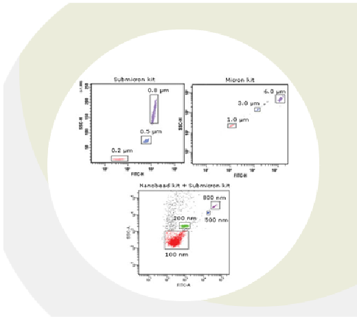 Micron Bead Calibration Kit - 1.0μm, 3.0μm, 6.0μm