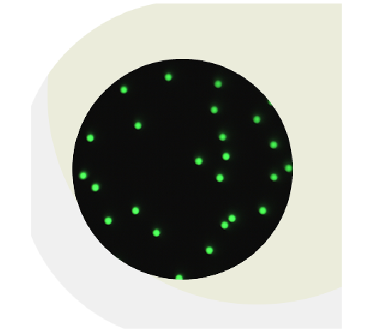 Fluorescent Streptavidin Coated Polymer, Dragon Green - 0.50μm