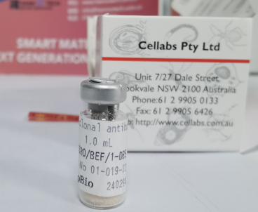JCU/FAV/9F7  Avian adenovirus monoclonal antibody