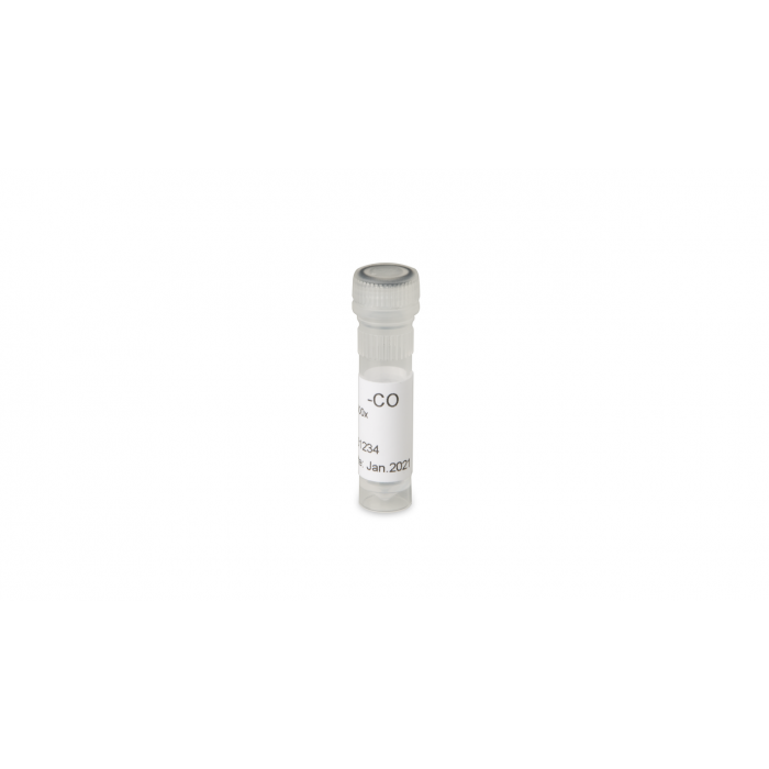 Pectobacterium atrosepticum coating antibodies