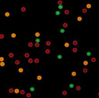 8.5 µm, 3D-Aldehyde PolyAn Red4 Multiplex Beads, 10 populations (peaks)